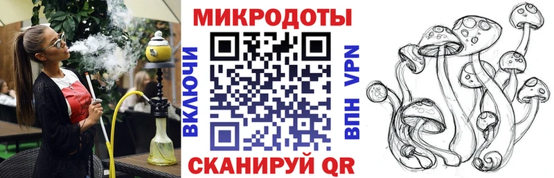 цены   Кингисепп  мориарти клад  Галлюциногенные грибы Psilocybine cubensis 
